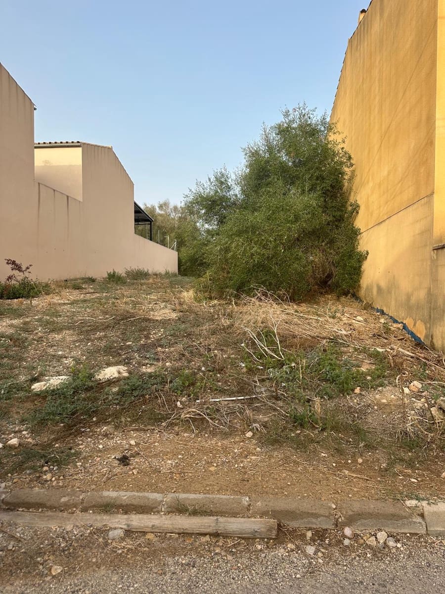 Terreno para Construção para venda em Vilafranca de Bonany - 140 000 € (Ref: 9255459)