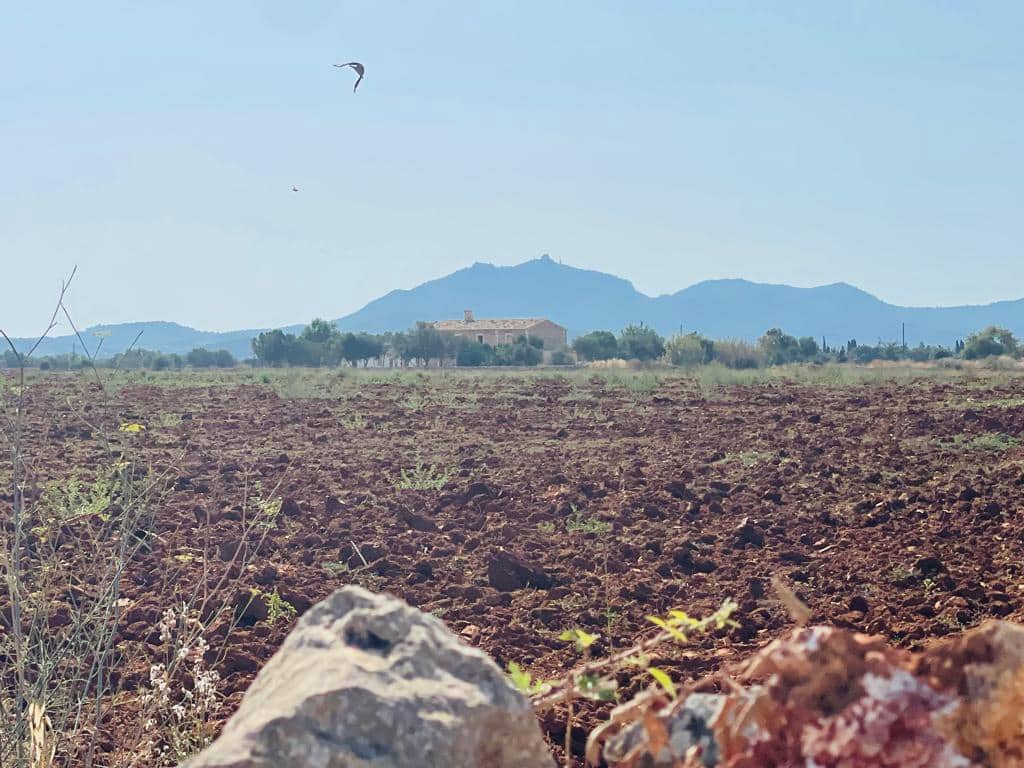 Building Plot for sale in Felanitx - € 160,000 (Ref: 9340017)