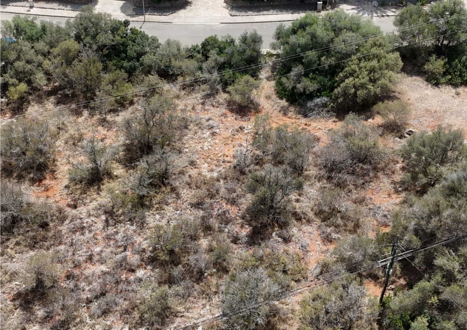 Bouwgrond te koop in Cala Murada - € 140.000 (Ref: 9345197)