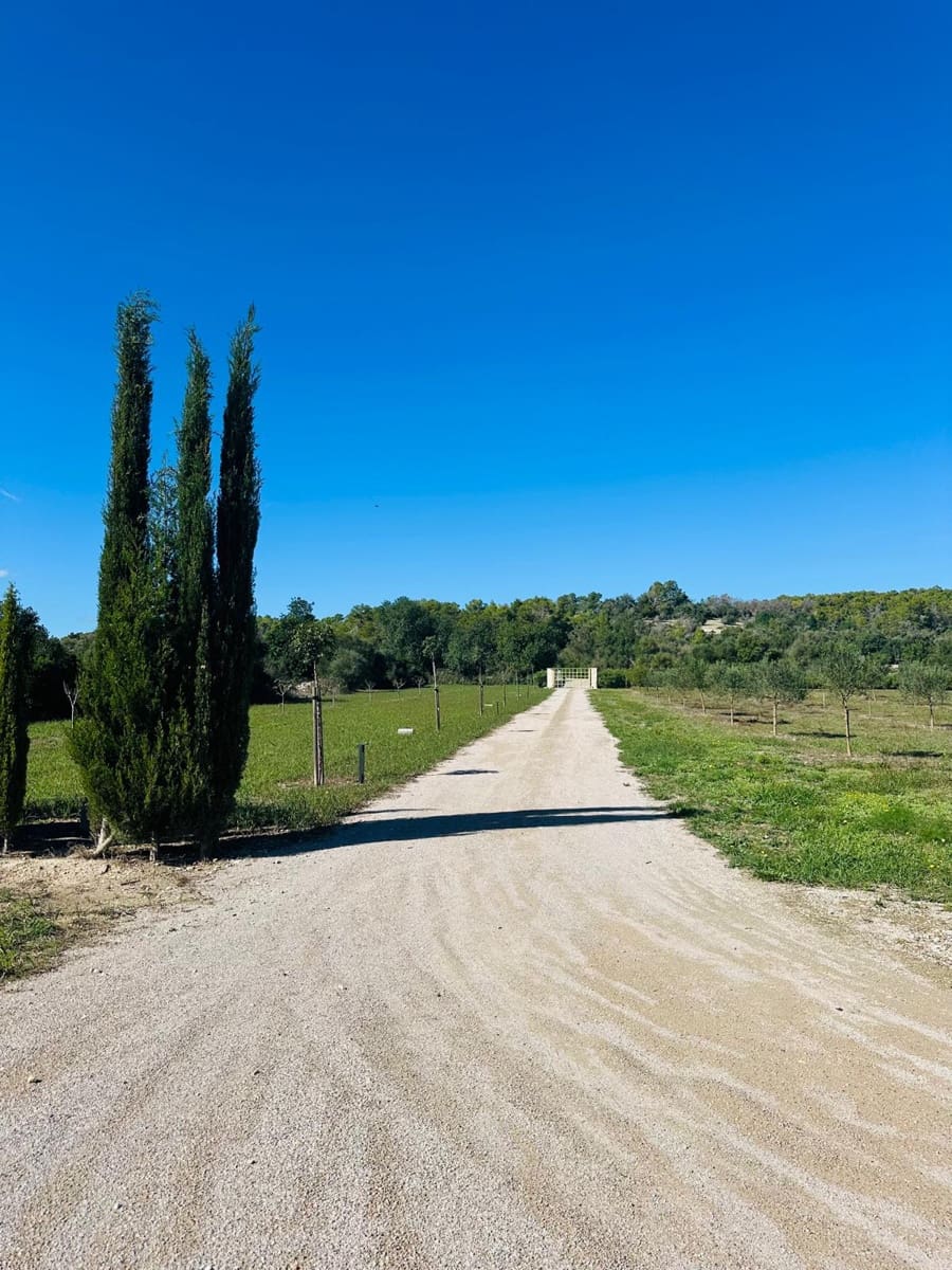 3 sovrum Finca/Hus på landet att hyra i Petra med pool garage - 4 500 € (Ref: 9354085)