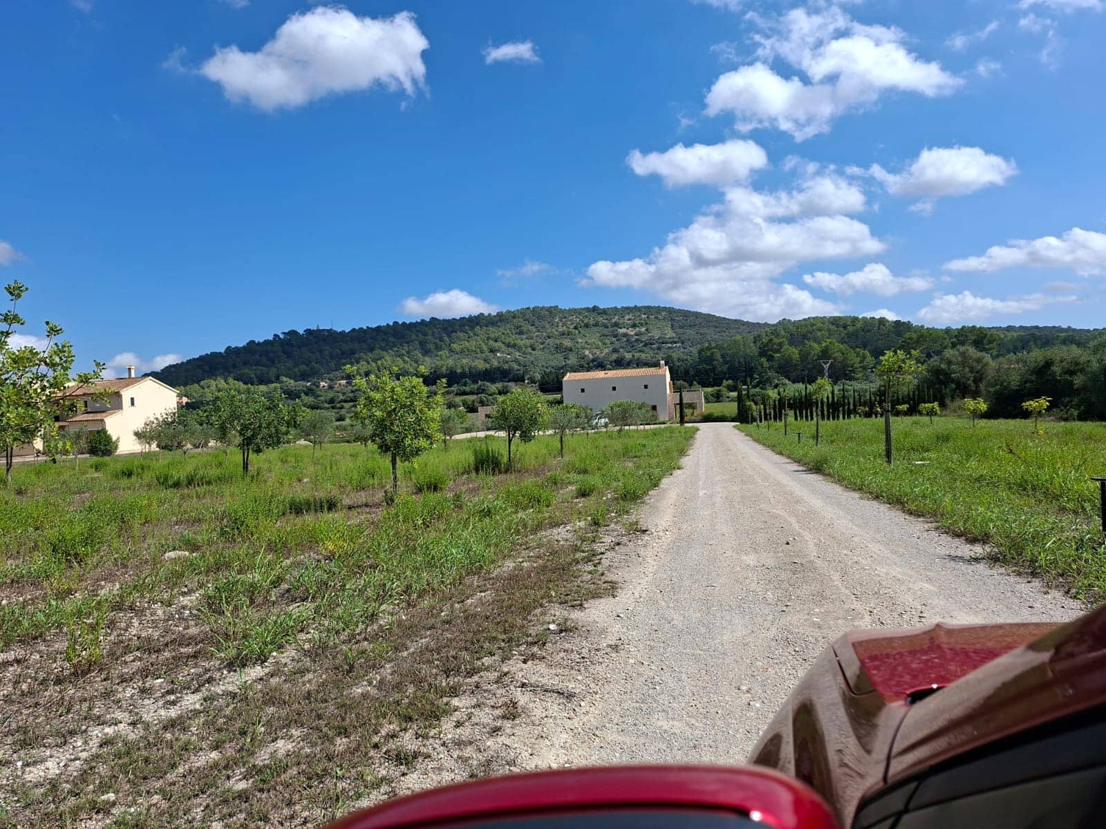 3 sovrum Finca/Hus på landet att hyra i Petra med pool garage - 4 500 € (Ref: 9354085)