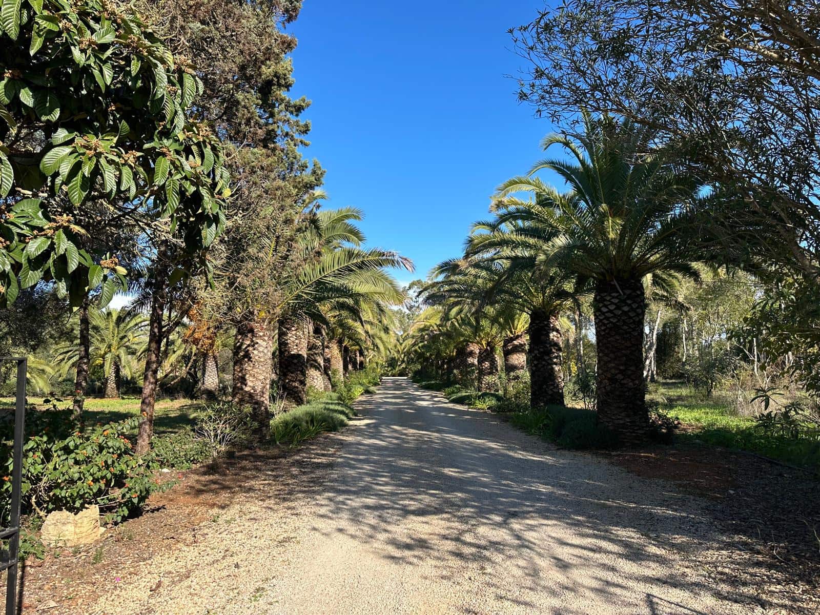 7 chambre Finca/Maison de Campagne à vendre à Felanitx avec piscine garage - 3 250 000 € (Ref: 9481395)