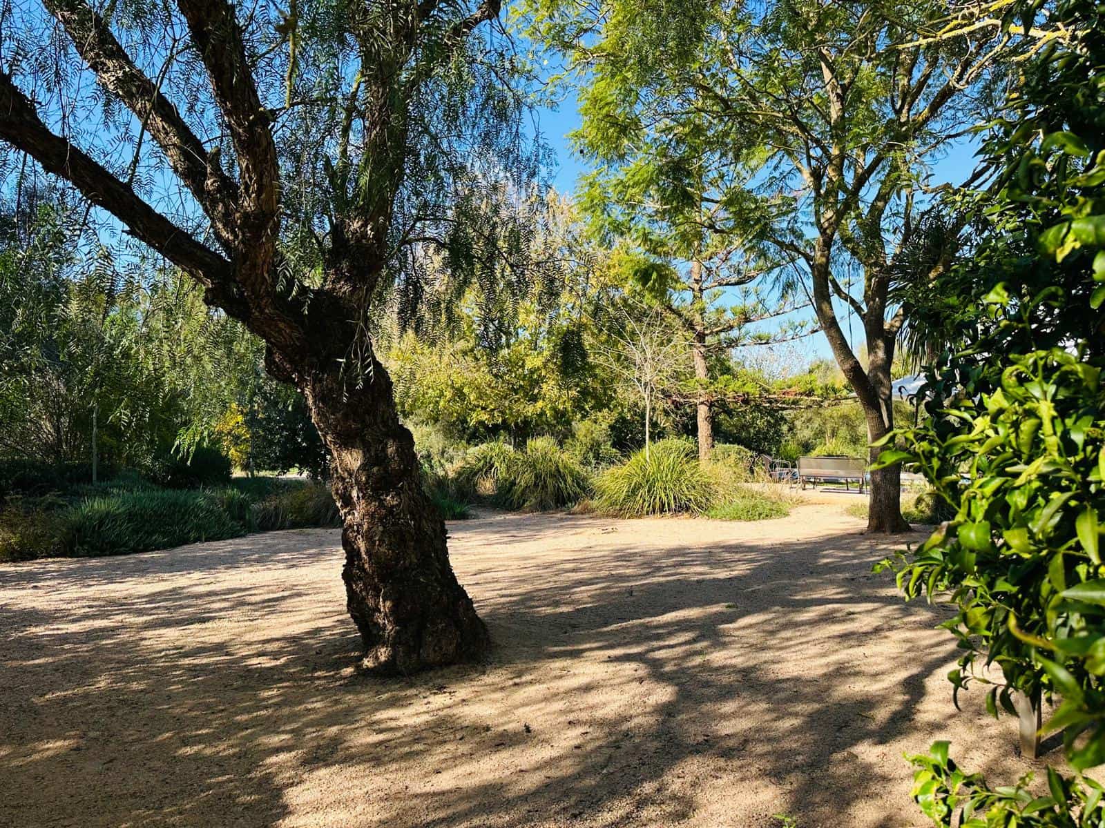 7 chambre Finca/Maison de Campagne à vendre à Felanitx avec piscine garage - 3 250 000 € (Ref: 9481395)