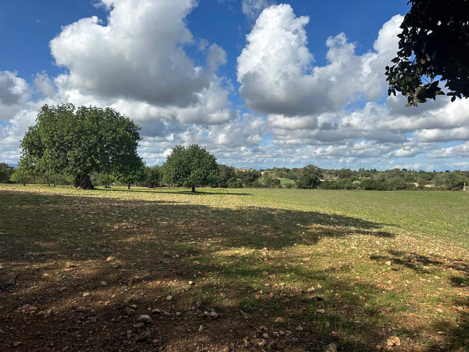 Undeveloped Land for sale in Felanitx - € 449,000 (Ref: 9487187)