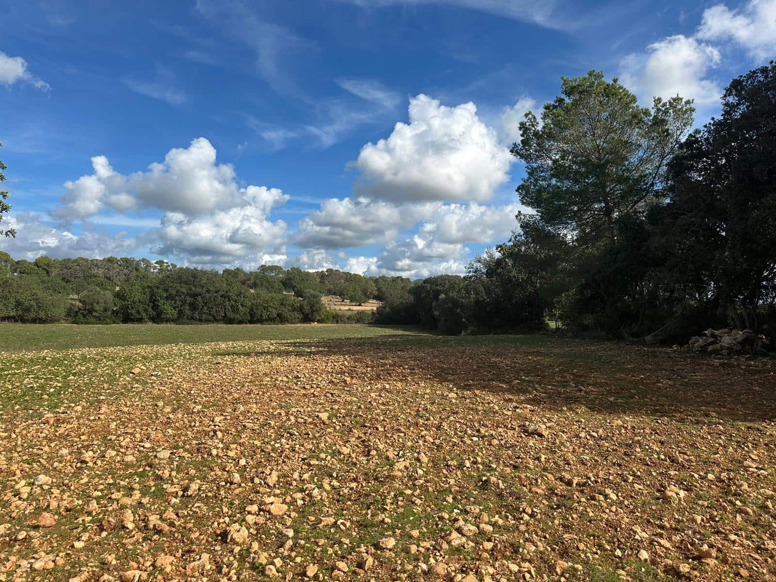 Undeveloped Land for sale in Felanitx - € 449,000 (Ref: 9487187)