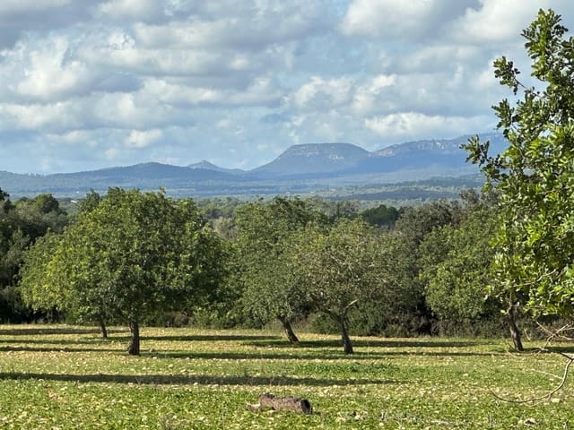 Teren niezagospodarowany na sprzedaż w Felanitx - 449 000 € (Ref: 9487187)