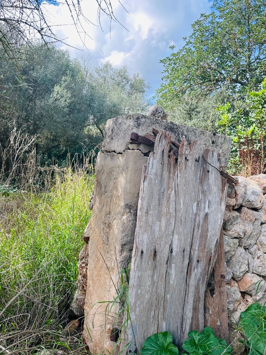 Undeveloped Land for sale in Felanitx - € 495,000 (Ref: 9487926)