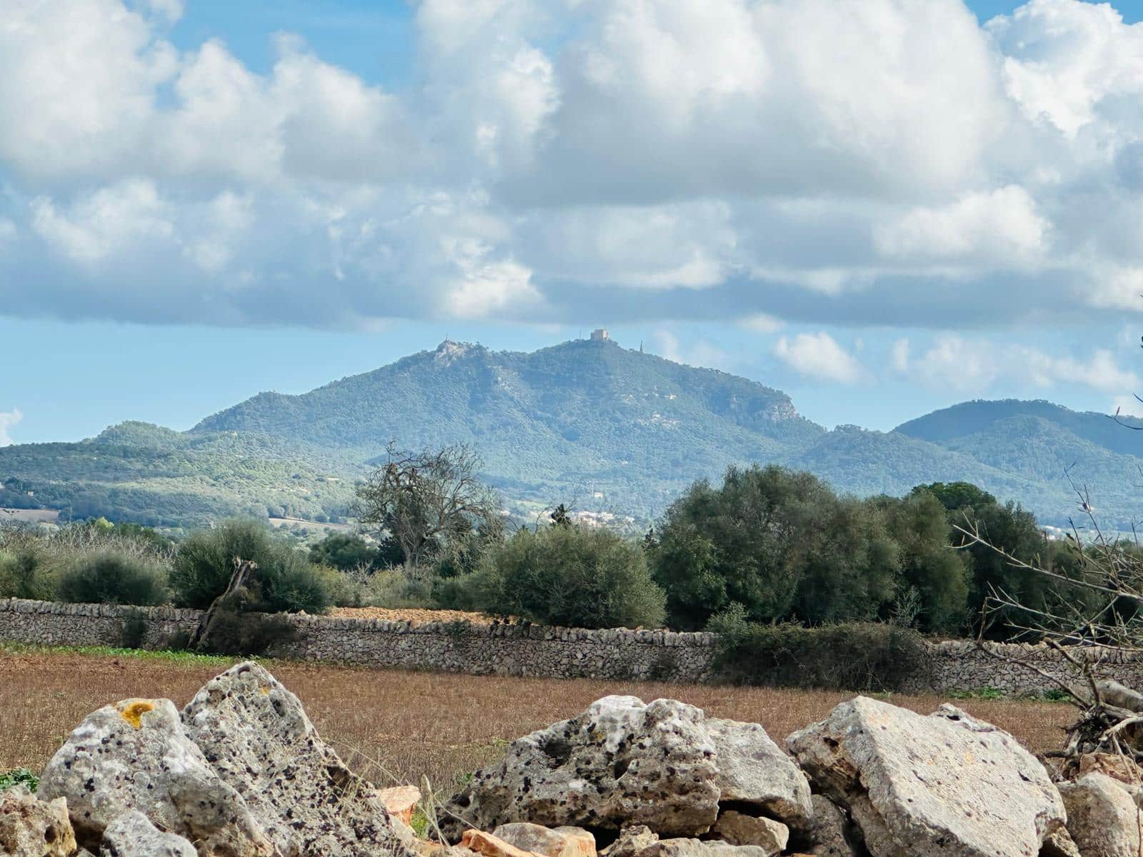 Undeveloped Land for sale in Felanitx - € 495,000 (Ref: 9487926)