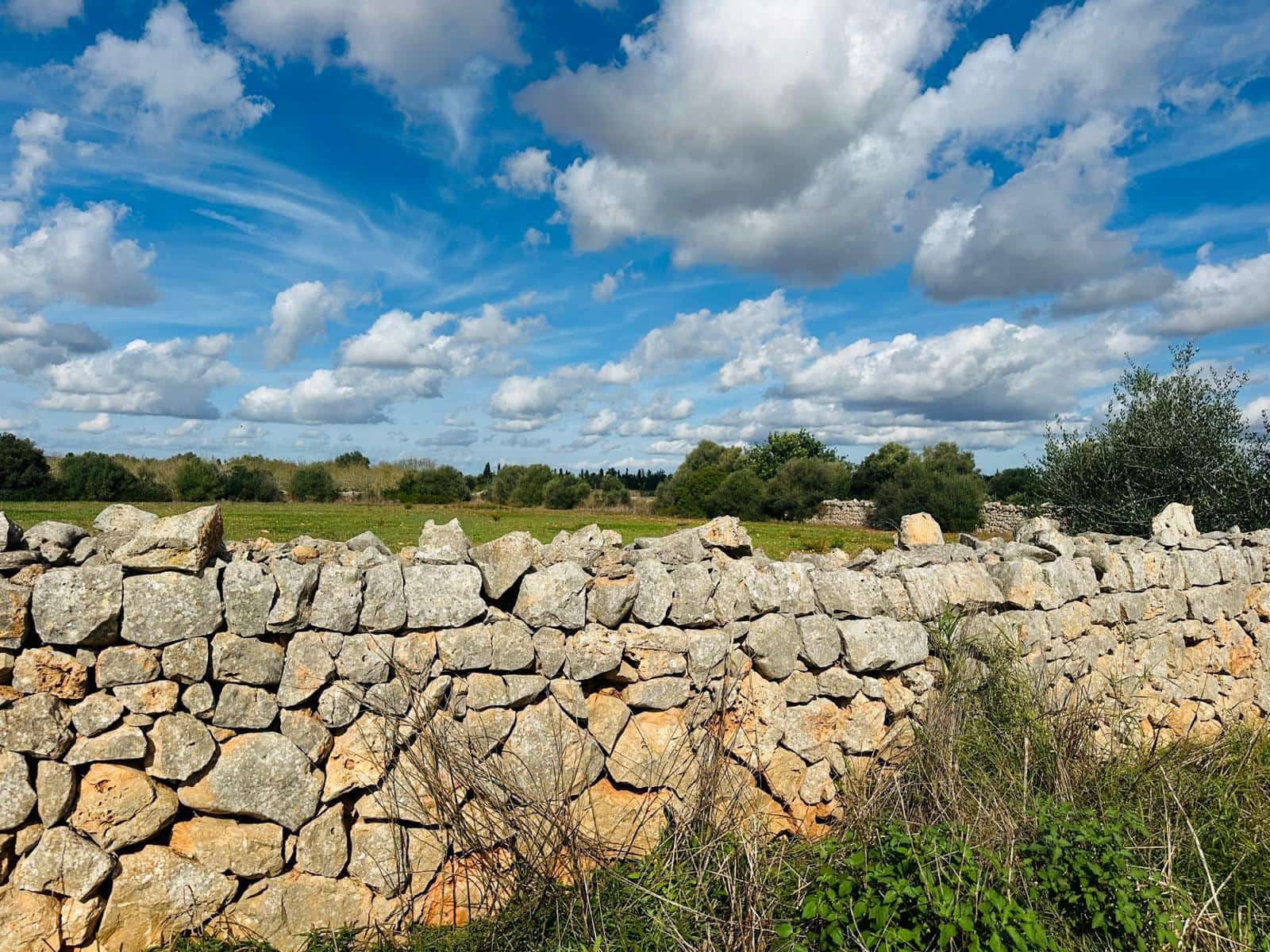 Undeveloped Land for sale in Felanitx - € 495,000 (Ref: 9487926)