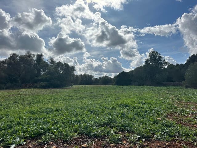 Undeveloped Land for sale in Felanitx - € 495,000 (Ref: 9487926)