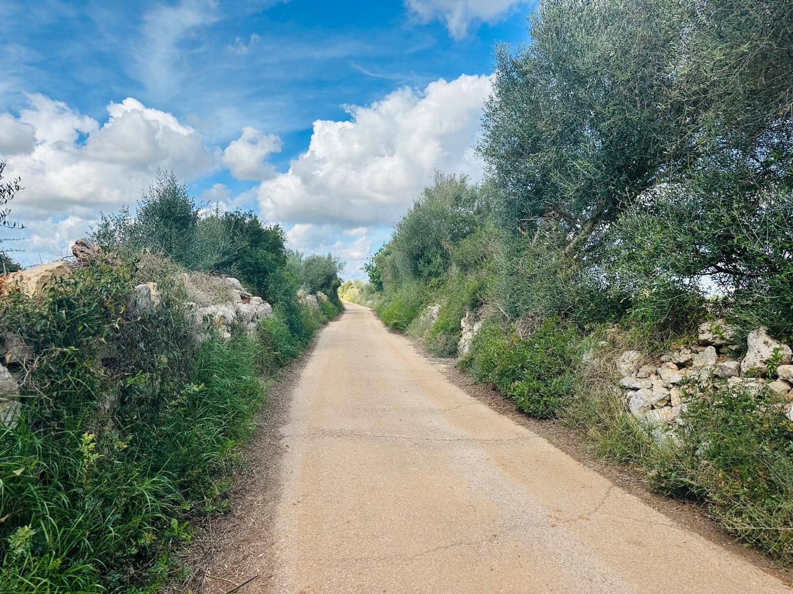 Undeveloped Land for sale in Felanitx - € 495,000 (Ref: 9487926)