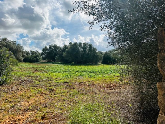 Undeveloped Land for sale in Felanitx - € 495,000 (Ref: 9487926)