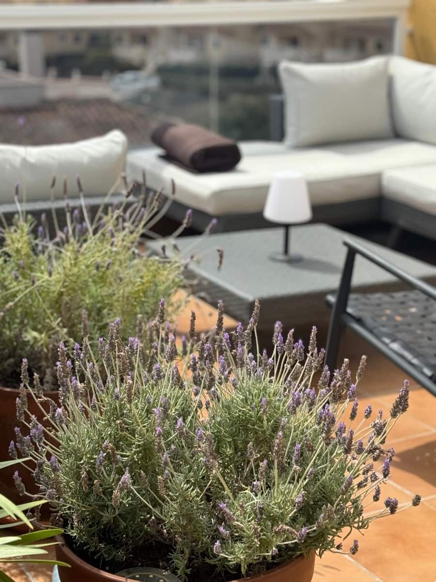 2 soveværelse Penthouse til salg i Cala Antena med swimmingpool garage - € 459.000 (Ref: 9537370)