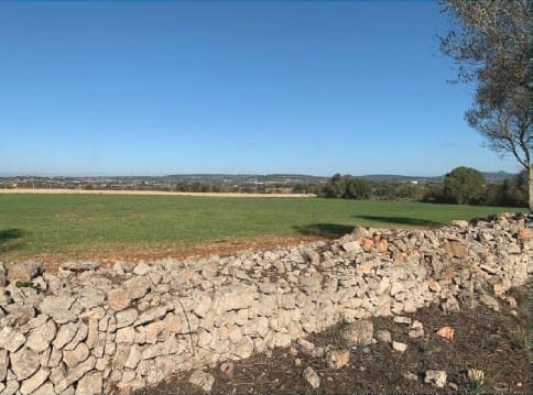 Teren niezagospodarowany na sprzedaż w Manacor - 300 000 € (Ref: 9622755)