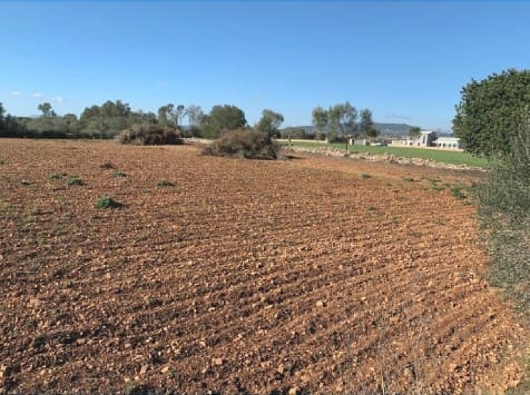 Teren niezagospodarowany na sprzedaż w Manacor - 300 000 € (Ref: 9622755)