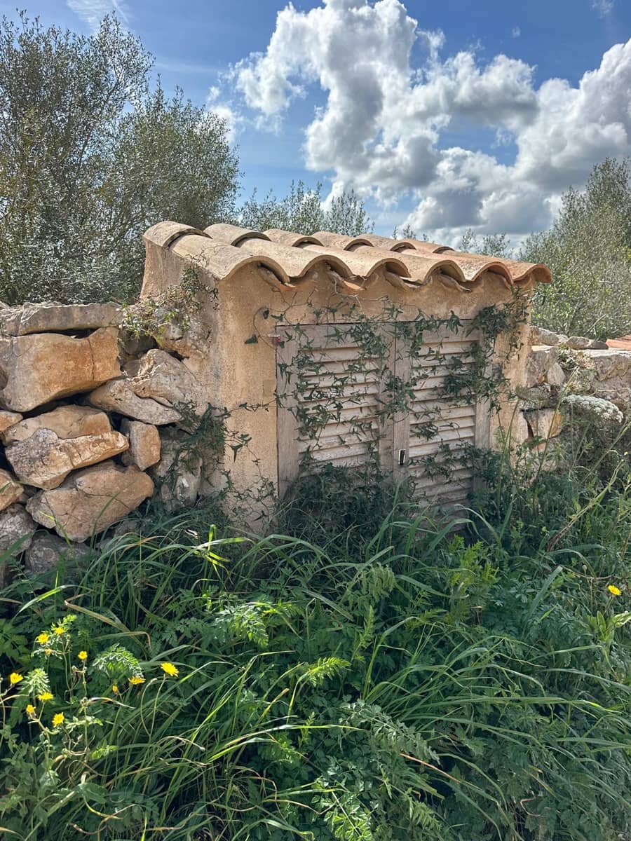 Terre non Aménagée à vendre à Manacor - 300 000 € (Ref: 9622755)