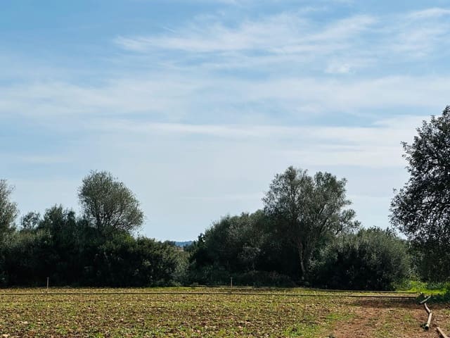 Mark till salu i Manacor - 300 000 € (Ref: 9622755)