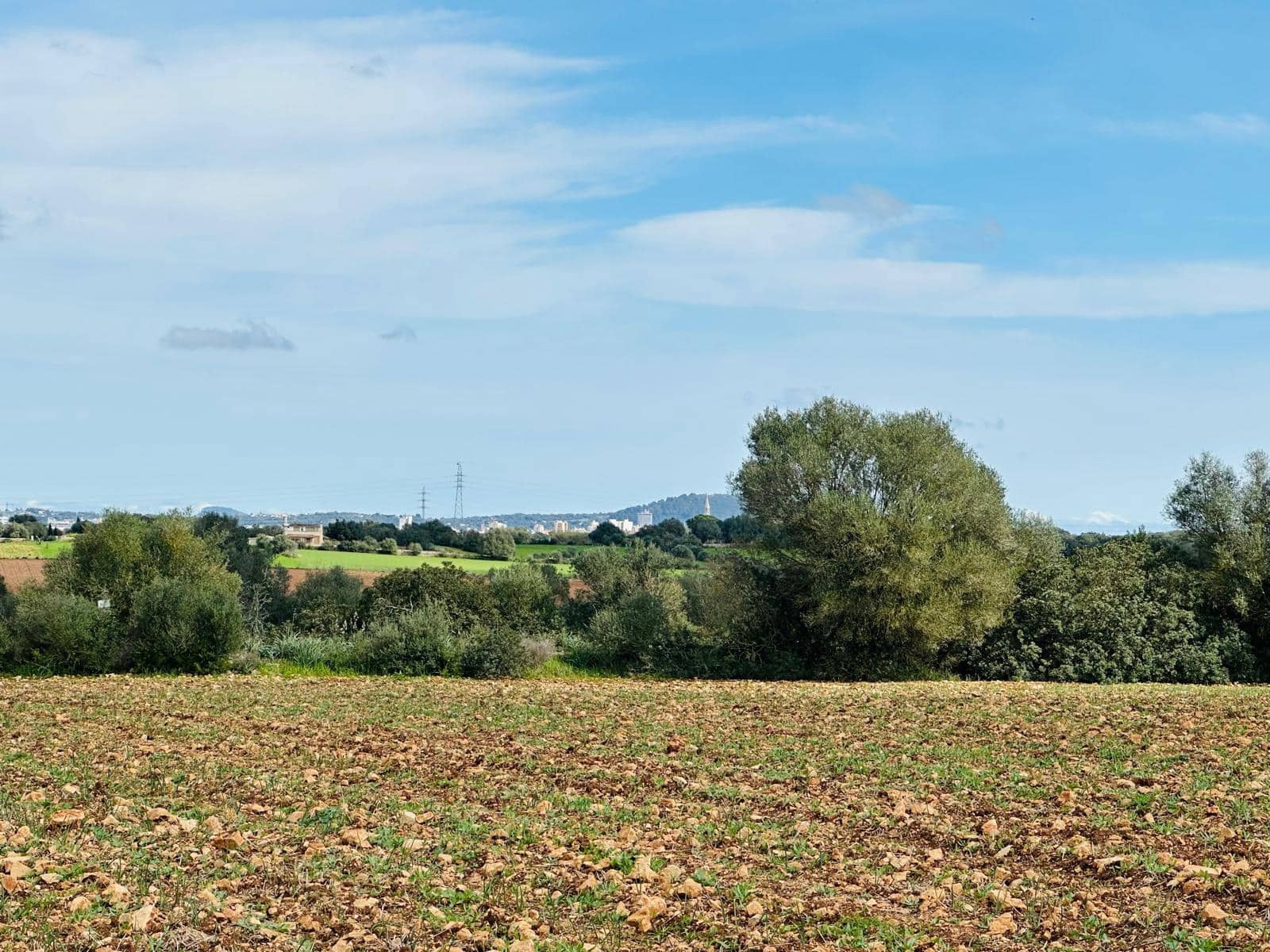 Terre non Aménagée à vendre à Manacor - 300 000 € (Ref: 9622755)