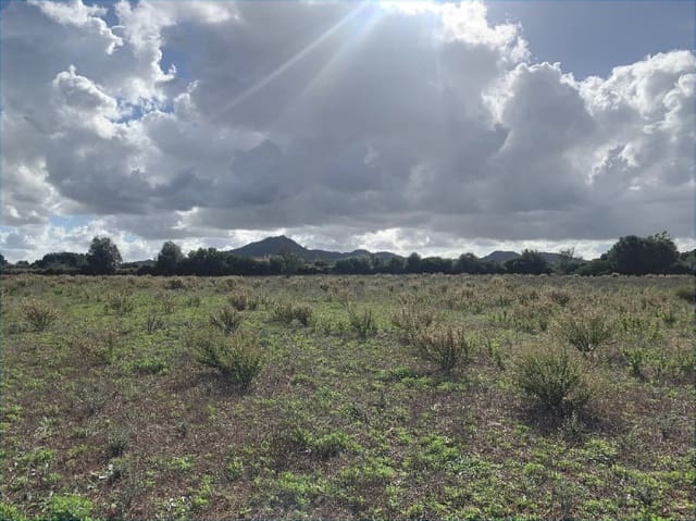 Tontti myytävänä paikassa Felanitx - 300 000 € (Ref: 9627951)