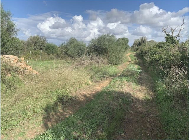 Tontti myytävänä paikassa Felanitx - 300 000 € (Ref: 9627951)