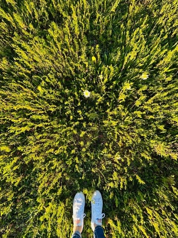 Byggegrund til salg i Felanitx - € 300.000 (Ref: 9627951)