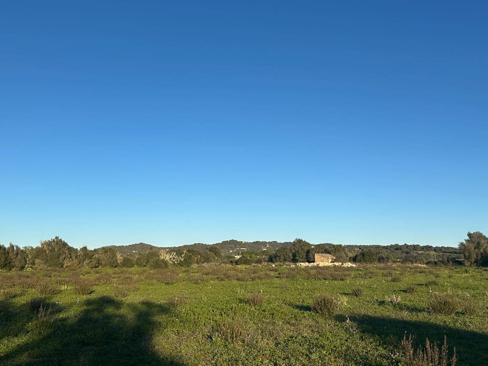 Building Plot for sale in Felanitx - € 300,000 (Ref: 9627951)