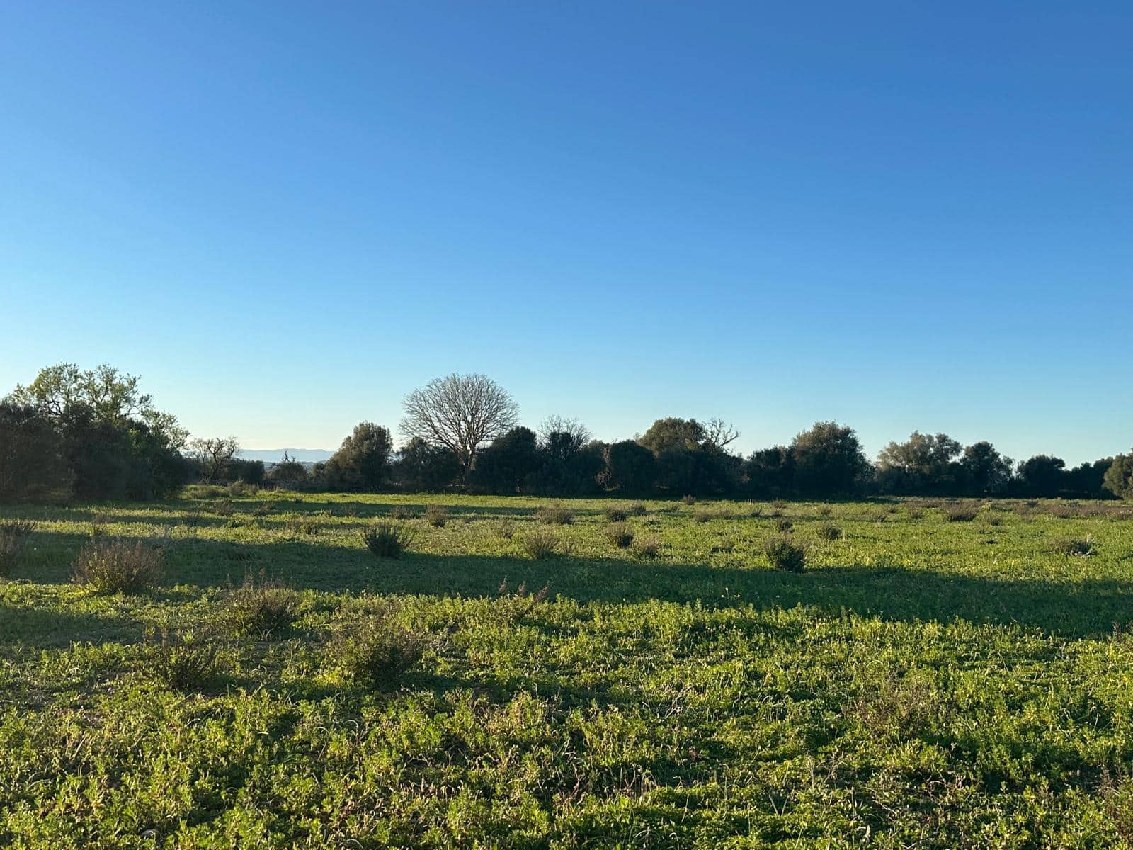 Building Plot for sale in Felanitx - € 300,000 (Ref: 9627951)