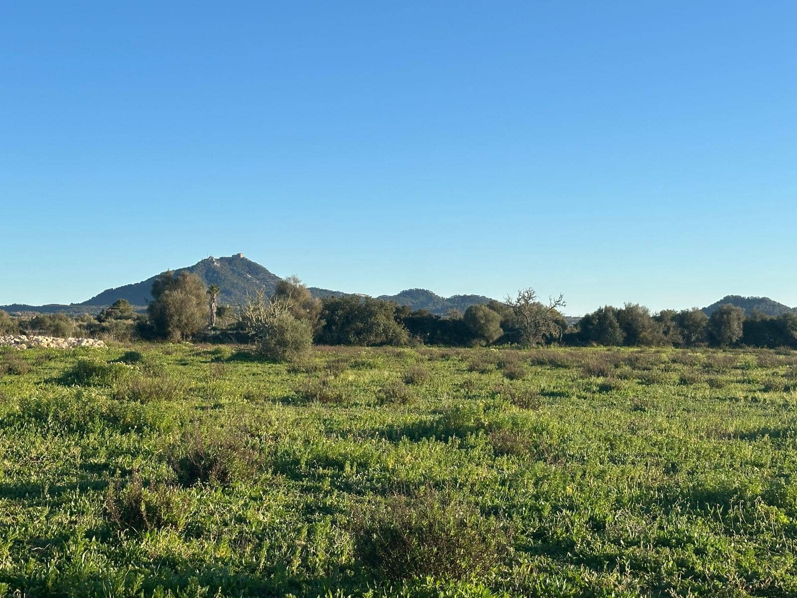 Building Plot for sale in Felanitx - € 300,000 (Ref: 9627951)