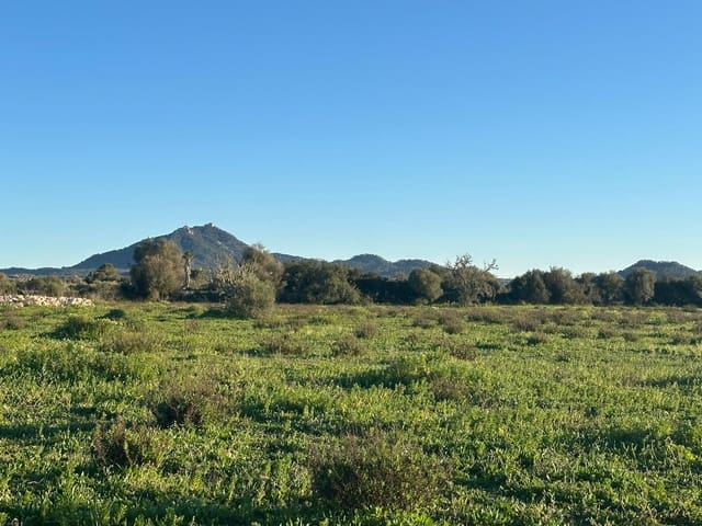 Byggegrund til salg i Felanitx - € 300.000 (Ref: 9627951)