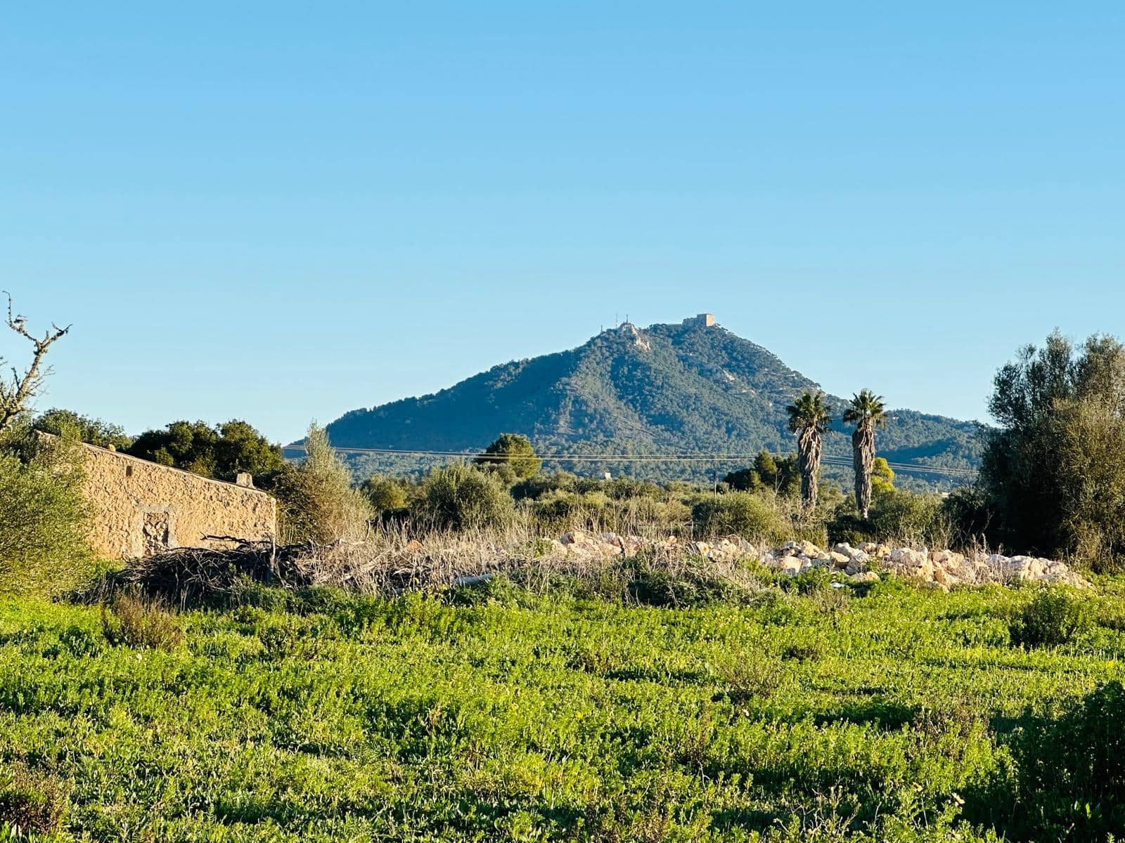 Building Plot for sale in Felanitx - € 300,000 (Ref: 9627951)