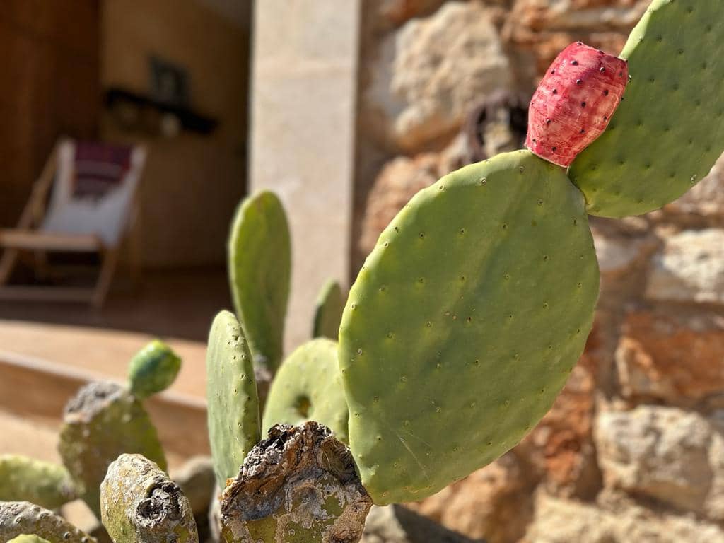 1 soveværelse Lejlighed til leje i Felanitx med swimmingpool - € 1.500 (Ref: 9635006)