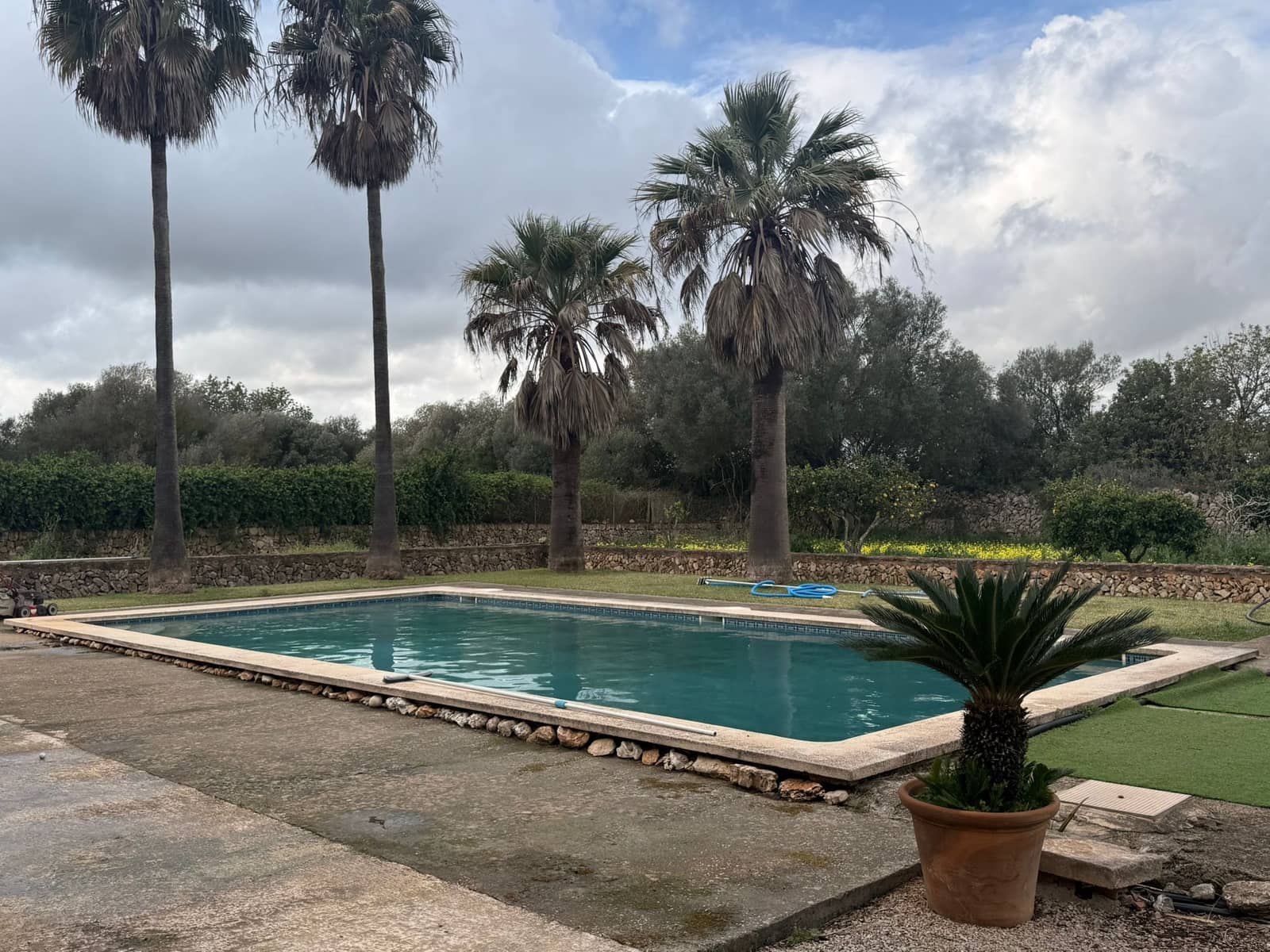 Apartamento de 1 habitación en Felanitx en alquiler con piscina - 1.500 € (Ref: 9635006)