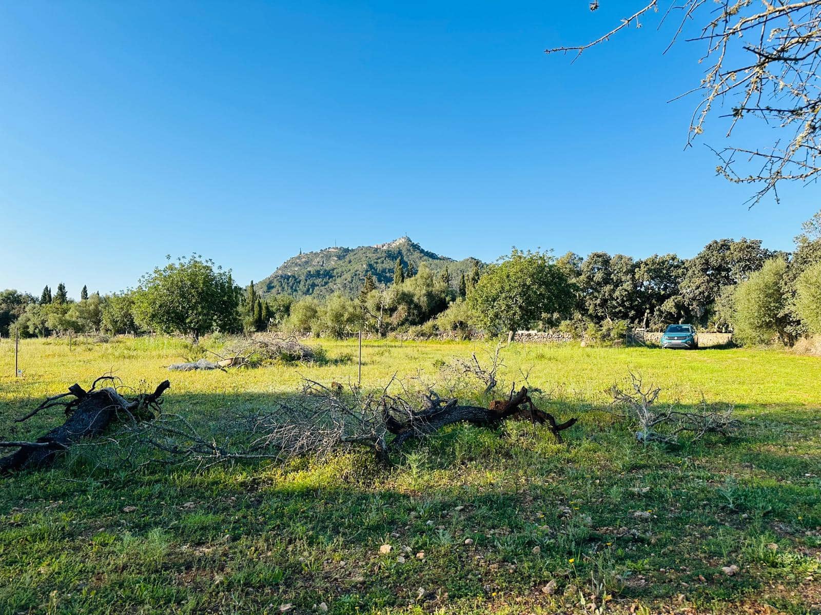 Building Plot for sale in Felanitx - € 350,000 (Ref: 9696731)