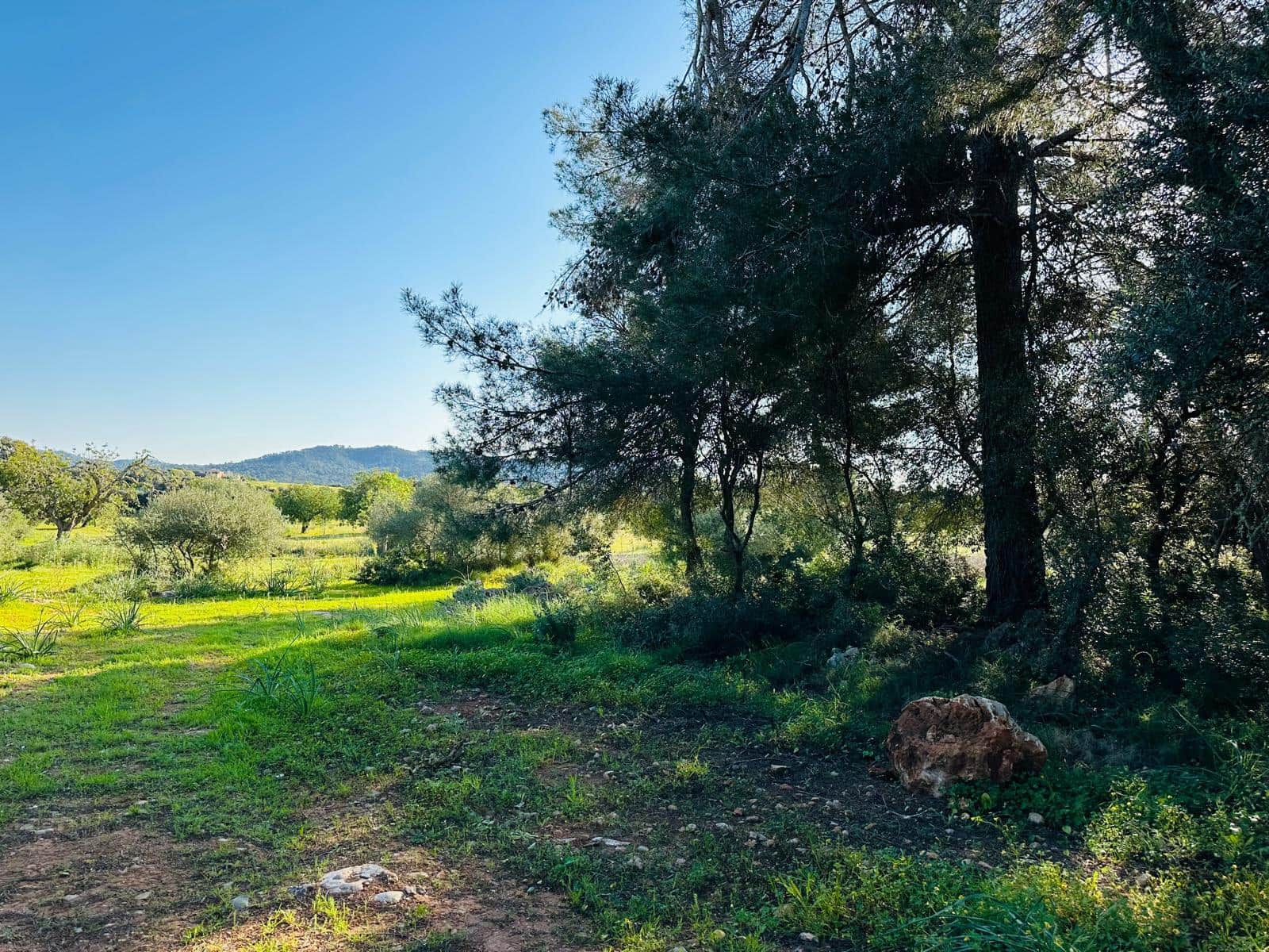 Building Plot for sale in Felanitx - € 350,000 (Ref: 9696731)