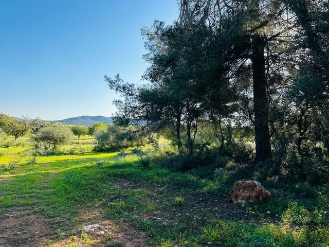 Byggegrund til salg i Felanitx - € 350.000 (Ref: 9696731)