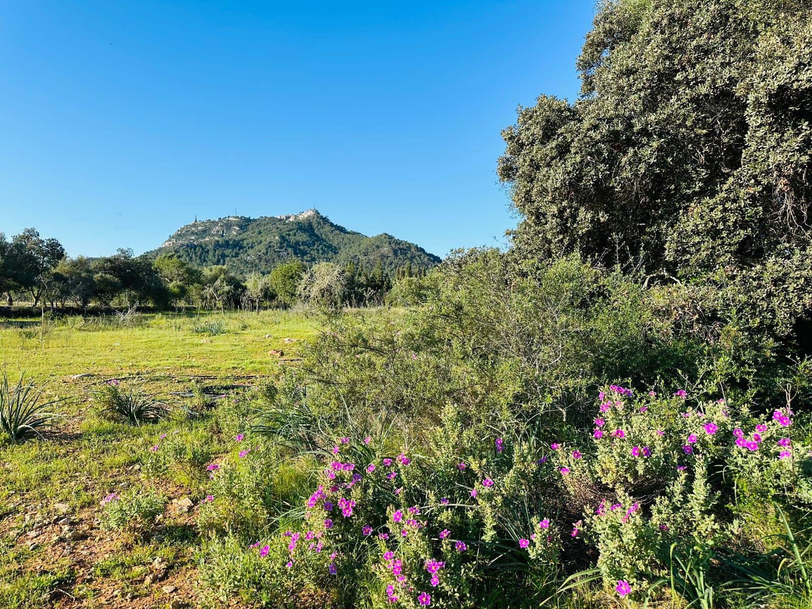 Building Plot for sale in Felanitx - € 350,000 (Ref: 9696731)