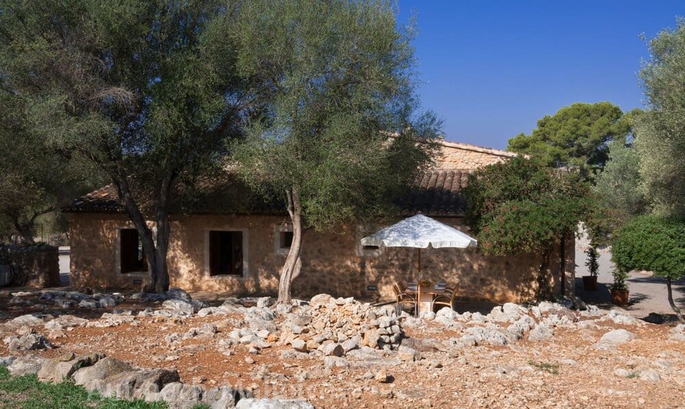 1 bedroom Studio for rent in Porto Cristo Novo with pool - € 900 (Ref: 9699665)