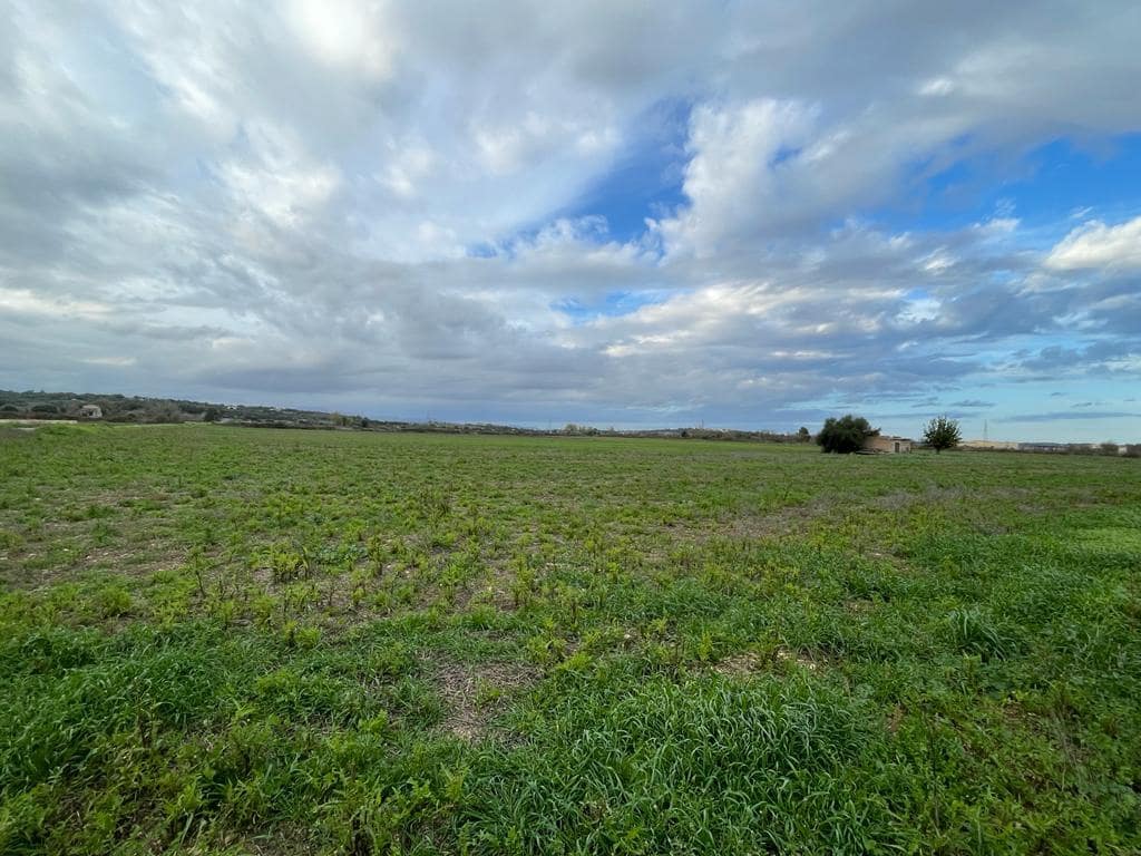 Byggetomt til salgs i Santa Margalida - € 220 000 (Ref: 9756403)