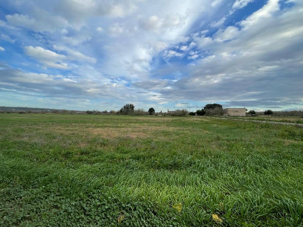 Byggetomt til salgs i Santa Margalida - € 220 000 (Ref: 9756403)