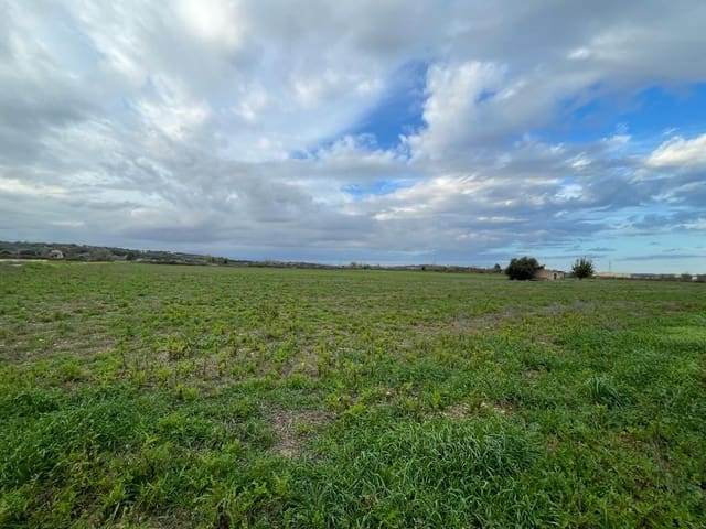 Terrain à Bâtir à vendre à Santa Margalida - 220 000 € (Ref: 9756403)