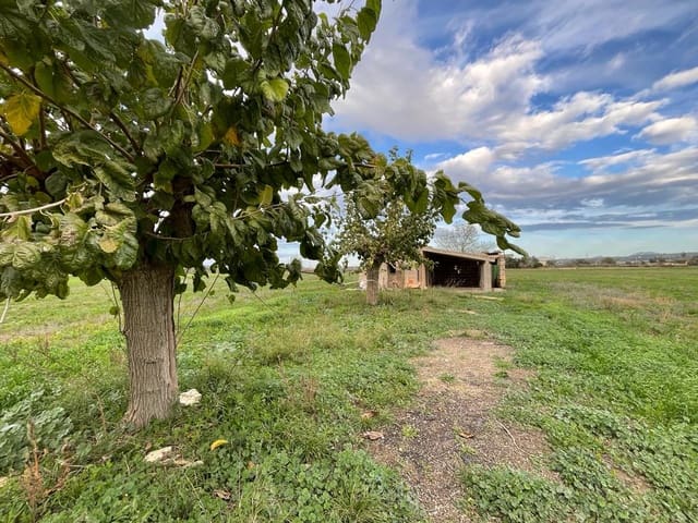 Terrain à Bâtir à vendre à Santa Margalida - 220 000 € (Ref: 9756403)