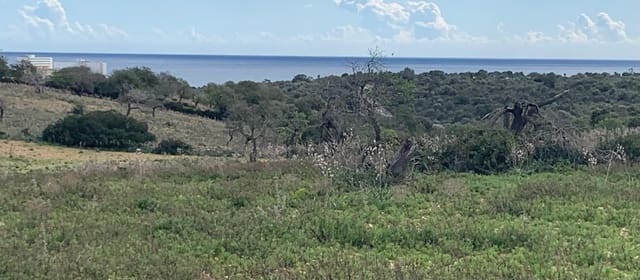 Terrain à Bâtir à vendre à Manacor - 750 000 € (Ref: 9757539)