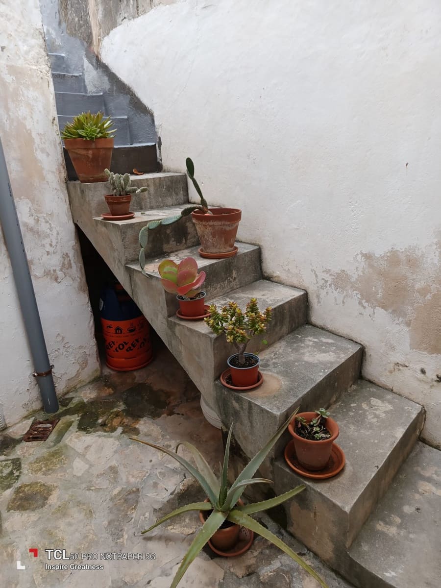 2 soveværelse Lejlighed til leje i Cas Concos - € 700 (Ref: 9770950)