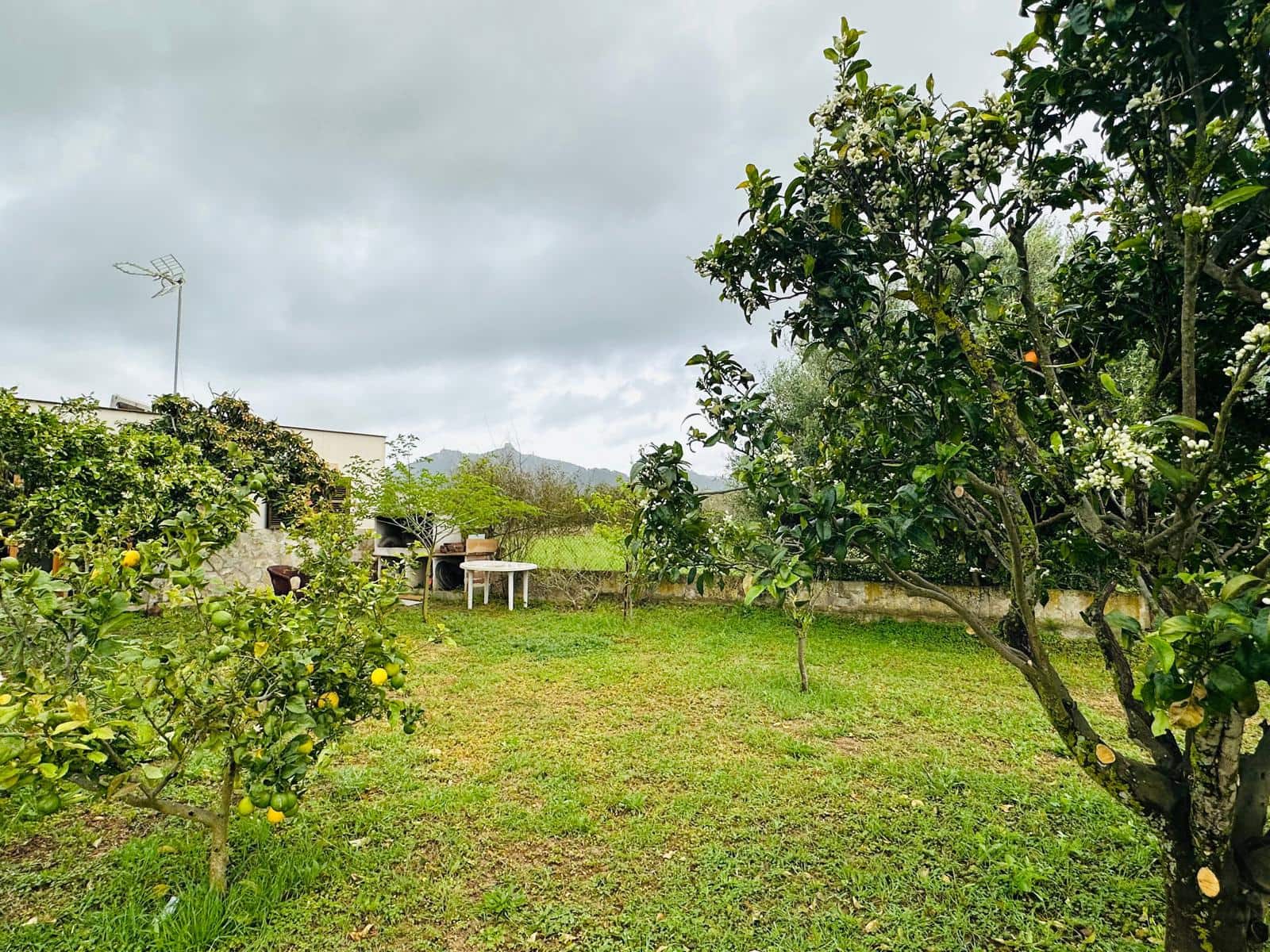 2 soverom Finca/Herregård til salgs i Cas Concos - € 295 000 (Ref: 9781289)