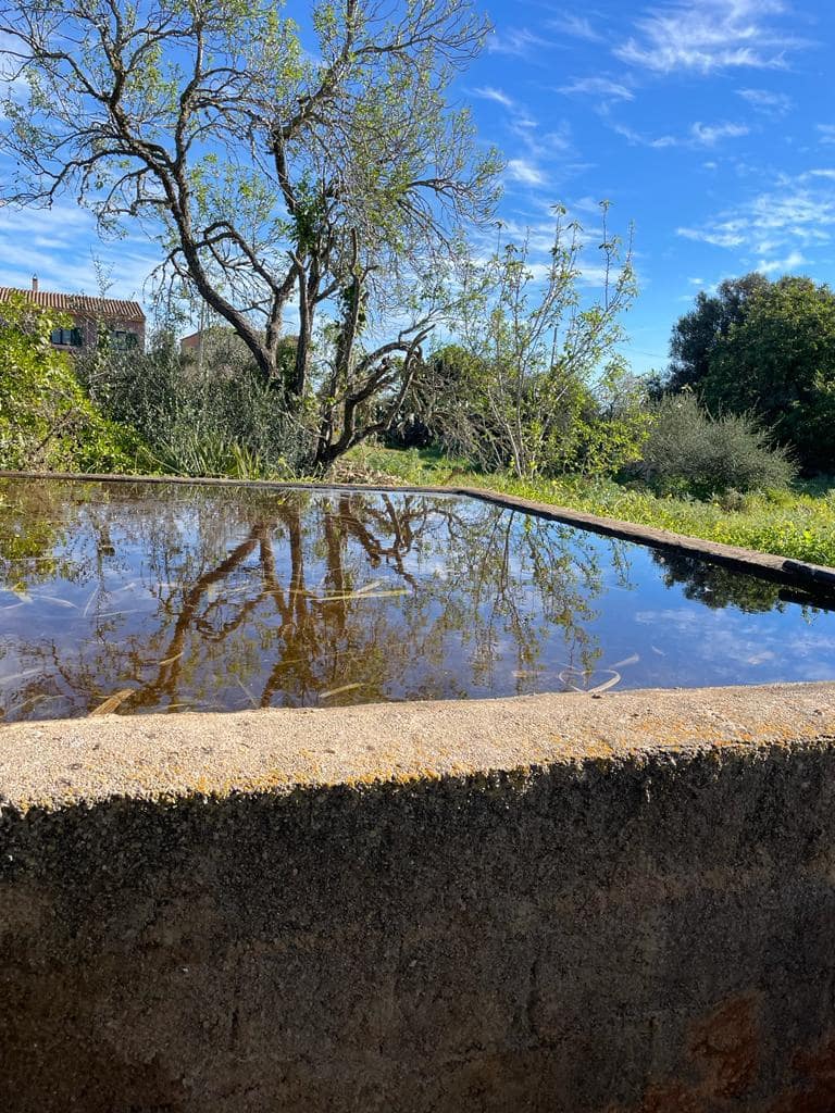 7 sypialnia Finka/Dom wiejski na sprzedaż w Santanyi z basenem garażem - 1 250 000 € (Ref: 9797673)