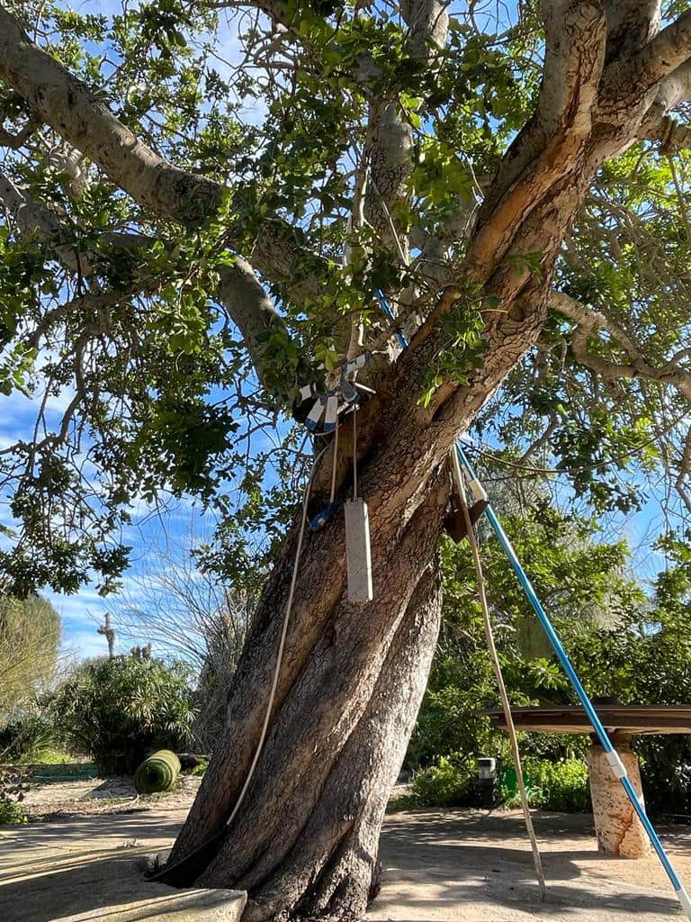 7 sypialnia Finka/Dom wiejski na sprzedaż w Santanyi z basenem garażem - 1 250 000 € (Ref: 9797673)