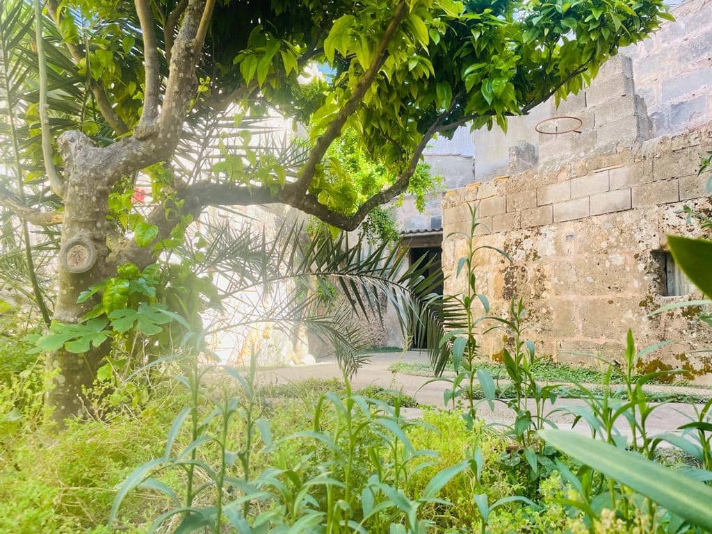 3 bedroom Townhouse for rent in Petra - € 2,000 (Ref: 9867286)