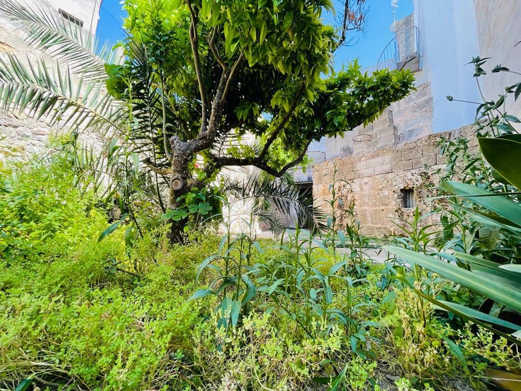 3 bedroom Townhouse for rent in Petra - € 2,000 (Ref: 9867286)