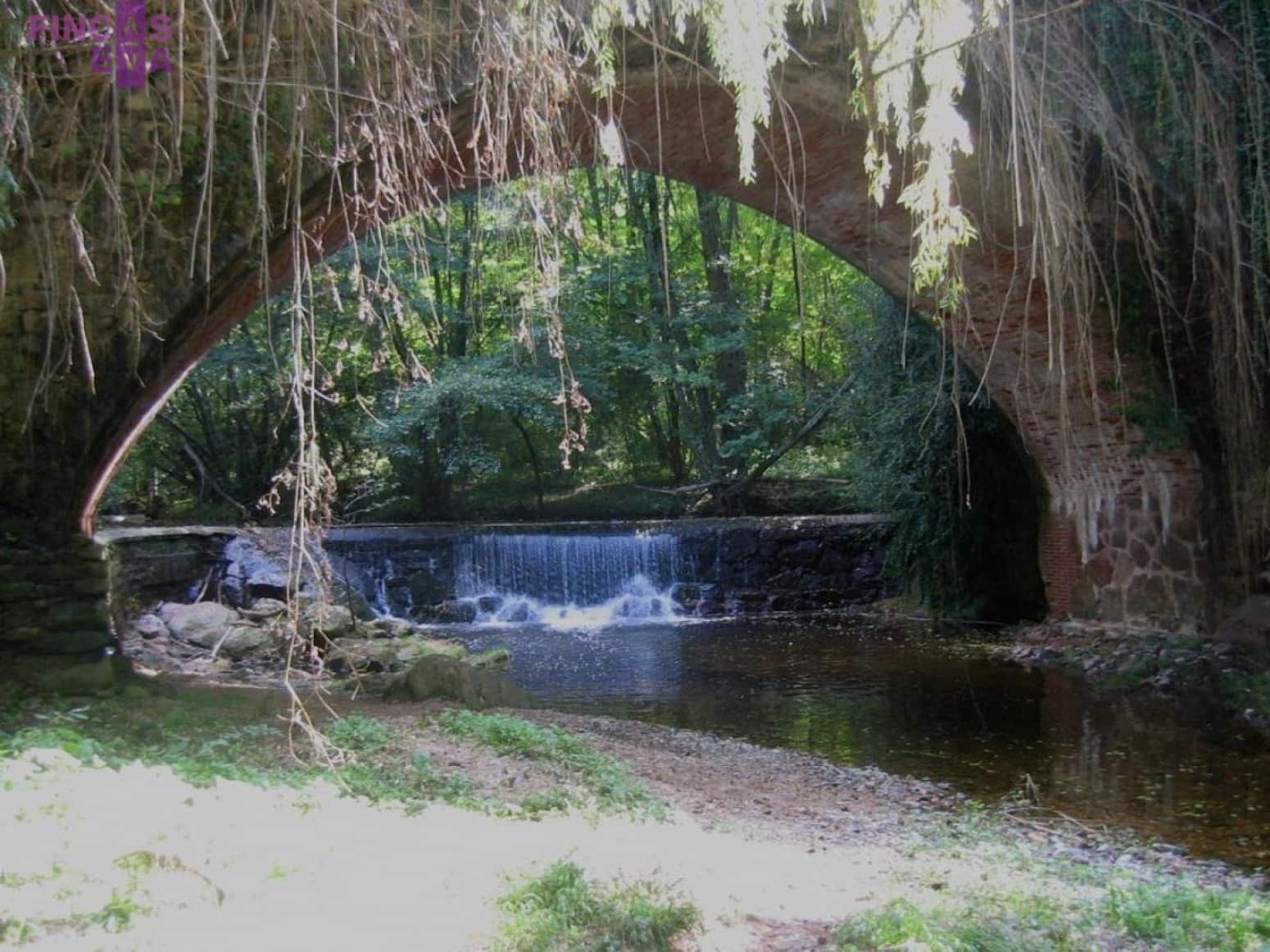 20 soverom Villa til salgs i Girona by - € 2 163 000 (Ref: 7496706)