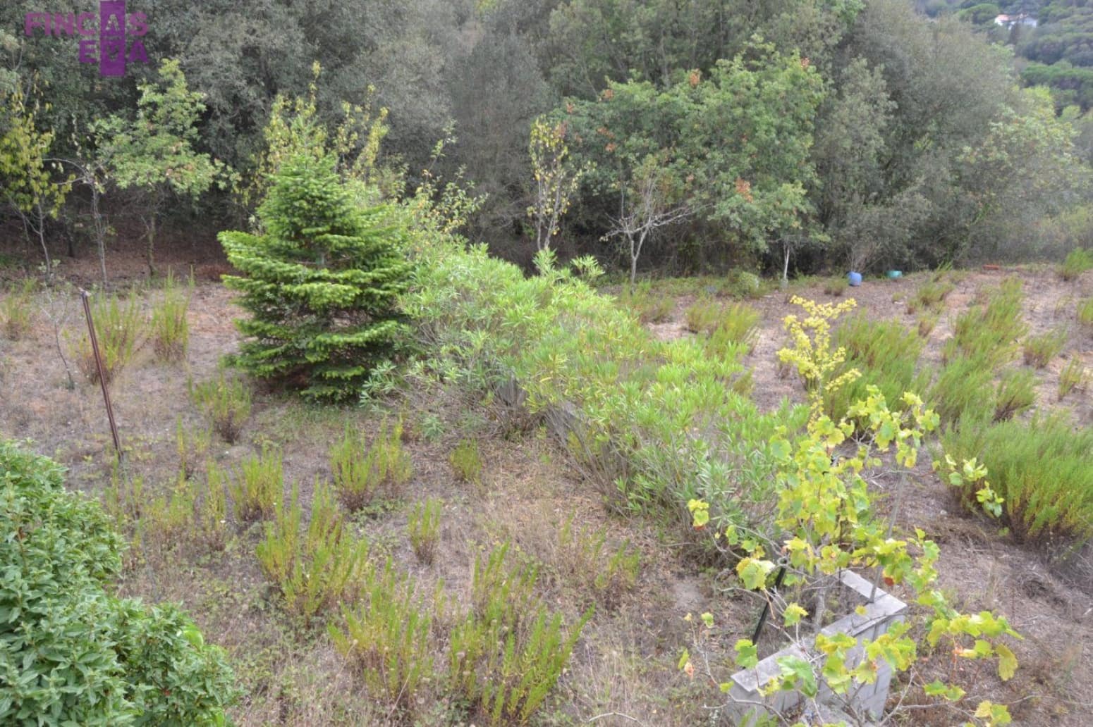 4 soverom Villa til salgs i Vallromanes - € 749 000 (Ref: 7496712)